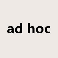 ad hoc是什么意思