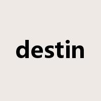 destin是什么意思