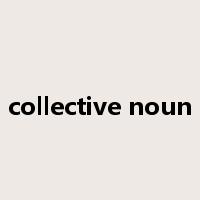 collective noun是什么意思
