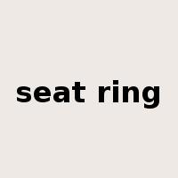 seat ring是什么意思
