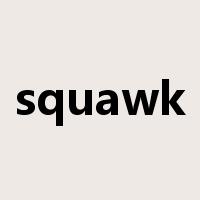 squawk是什么意思