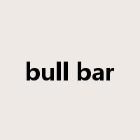 bull bar是什么意思