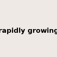 rapidly growing是什么意思