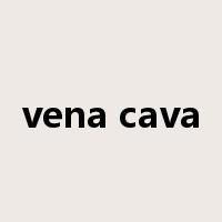 vena cava是什么意思