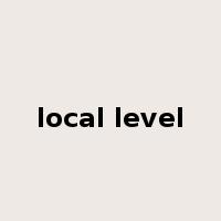 local level是什么意思