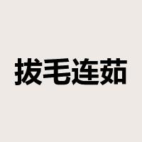 拔毛连茹是什么意思