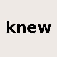 knew是什么意思