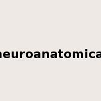 neuroanatomical是什么意思