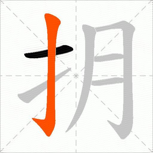 抈