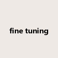 fine tuning是什么意思
