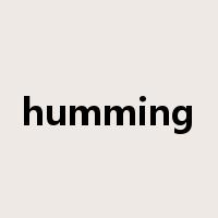 humming是什么意思