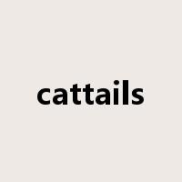 cattails是什么意思