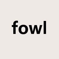 fowl是什么意思