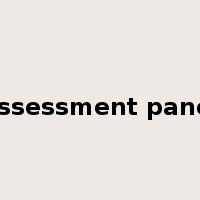 assessment panel是什么意思