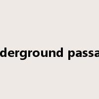 underground passage是什么意思