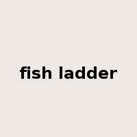 fish ladder是什么意思