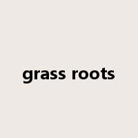 grass roots是什么意思