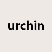 urchin是什么意思