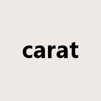 carat是什么意思