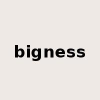 bigness是什么意思