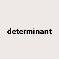 determinant是什么意思