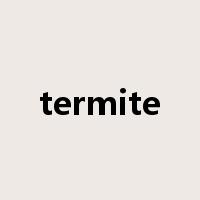 termite是什么意思