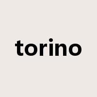 torino是什么意思