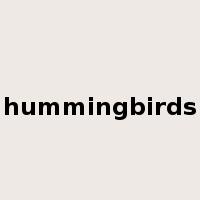 hummingbirds是什么意思