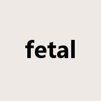 fetal是什么意思