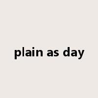 plain as day是什么意思