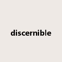 discernible是什么意思
