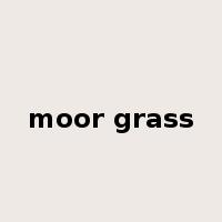 moor grass是什么意思