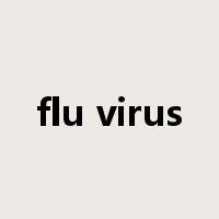 flu virus是什么意思