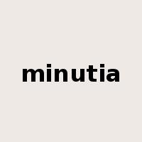 minutia是什么意思