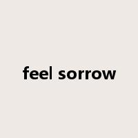 feel sorrow是什么意思