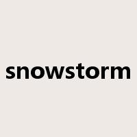 snowstorm是什么意思