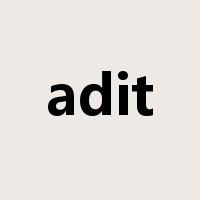 adit是什么意思