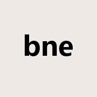 bne是什么意思