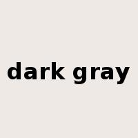 dark gray是什么意思