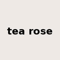 tea rose是什么意思