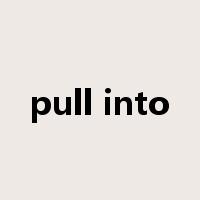 pull into是什么意思