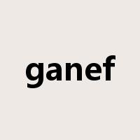 ganef是什么意思