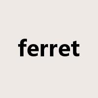 ferret是什么意思