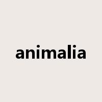 animalia是什么意思