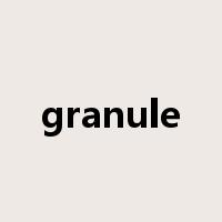granule是什么意思