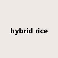 hybrid rice是什么意思