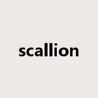 scallion是什么意思