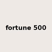 fortune 500是什么意思