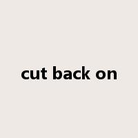 cut back on是什么意思