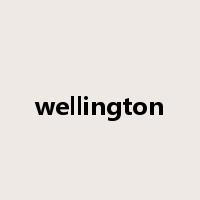 wellington是什么意思